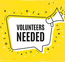 MCNV looks for International OT volunteer – starting from Jan 2021